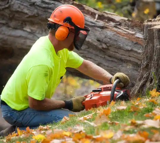 tree services Frederick